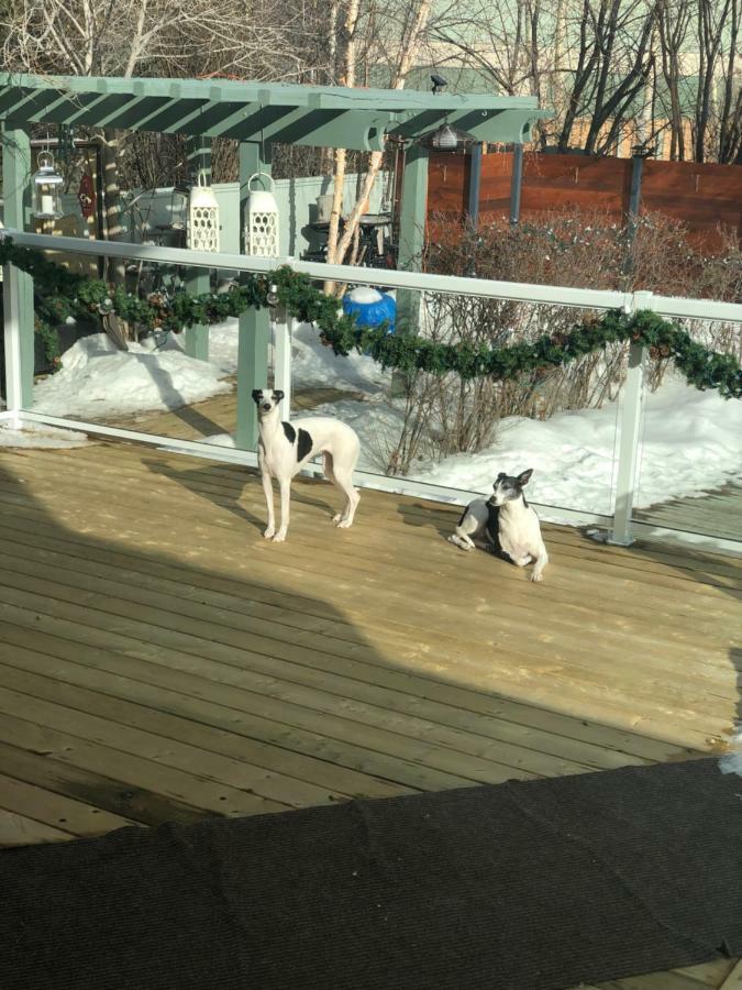Vangorda Place B&B Whitehorse Luaran gambar